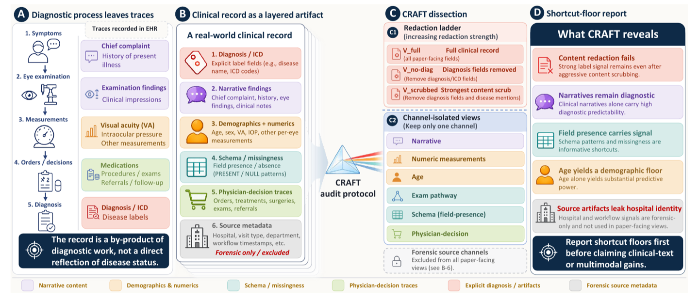 Overview of the CRAFT audit protocol: a clinical record is rendered into redaction levels and channel-isolated views, each probed for label recoverability